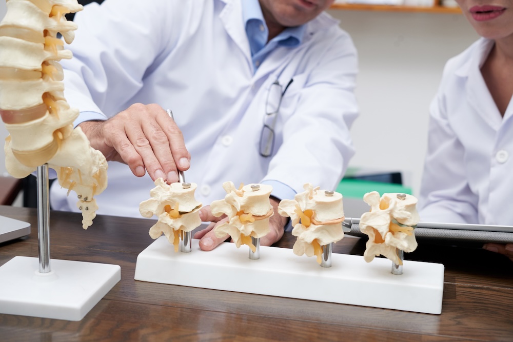 a Chiropractor discussing the spine with a college